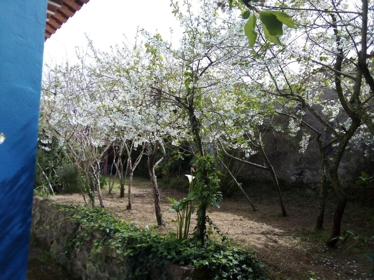 Casas Altas Obidos - Al Villa Sobral  Exteriör bild